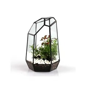 Indoor Planter Metal Terrarium Glass Plant Holder Stylish Geometric <b>Display</b> <b>Case</b> Home Decor - Product Image 2