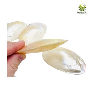 Wholesale Eco-Friendly Oval Natural MOP Pearl Shell <b>Plate</b> Small Soap <b>Ring</b> Holder Tray Shell Dish for Smudge Stick Candle Craft - Product Image 4