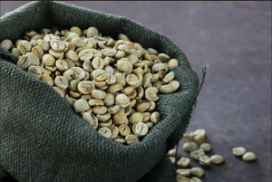 USDA Specialty Vietnam Arabica Green Coffee <b>Beans</b> S18 100% Natural High Quality Coffee 0.1% Black Broken Bulk Export TNFOOD - Product Image 2