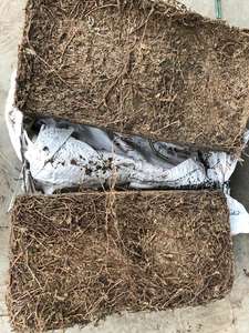 หญ้าเจลลี่แห้งจากเวียดนาม มีไฟเบอร์ละลายน้ำสูง เมโซนาอบแห้งสำหรับอุตสาหกรรมอาหาร - Product Image 4