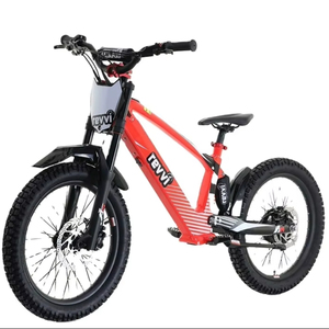 Venta al por mayor: ¡Gran demanda! Nuevas bicicletas eléctricas de equilibrio para niños y jóvenes de 20 pulgadas, Re vvi, automáticas, ¡LISTAS PARA ENVIAR AHORA! - Product Image 1