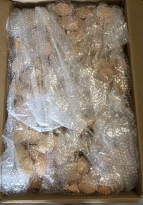 High Quality Natural Dried <b>Crab</b> <b>Shell</b> for Food Stuff in Restaurant From Vietnam/Whole Cleaned <b>Crab</b> <b>Shell</b> Cheap Price for Export - Product Image 4