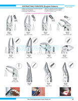 Forceps d'extraction dentaire de qualité professionnelle en modèle anglais, nouvelle quantité en vrac, prix bas, base d'instruments chirurgicaux