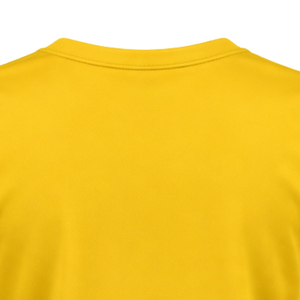 T-shirt de sport personnalisé SGRHO pour femme, col en V, pour entraînement et fitness, sororité grecque Sigma Gamma Rho, vente en gros - Product Image 4
