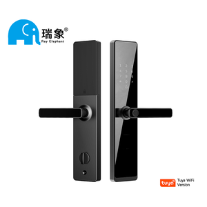 Vente chaude facile à installer serrure à empreintes digitales Tuya serrure de porte numérique intelligente électronique pour appartement à la maison - Product Image 1