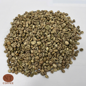 Grains de café Robusta vert d'origine vietnamienne en gros, saveur intense, haute teneur en caféine, grains de café crus pour torréfacteurs - Product Image 1