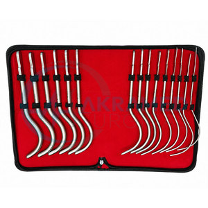 Juego de Dilatadores Uretrales Guyon, 15 Piezas, Acero Inoxidable, Kit de Dilatadores Urinarios Reutilizables, Instrumentos de Urología y Ginecología - Product Image 2