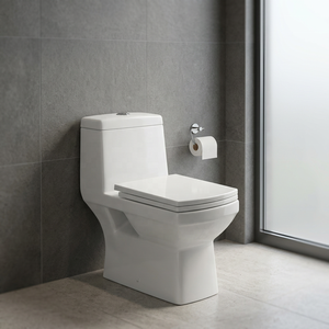 Offre Spéciale – WC Monobloc en Céramique Écologique, Cuvette de Toilette en Porcelaine pour Hôtels - Product Image 5