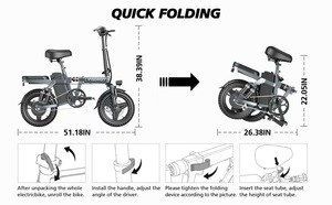 Bicicleta Eléctrica Plegable con Cuadro de Aleación de Aluminio de 14x2.215 Pulgadas, Motor sin Escobillas de 250W, para Uso Urbano y Deportivo - Product Image 5