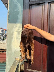 วิกผมบางสีบลอนด์เด้ง2025สำหรับผู้หญิงผม100% ไม่ผ่านกระบวนการผมจริงเกรดเวียดนาม - Product Image 5