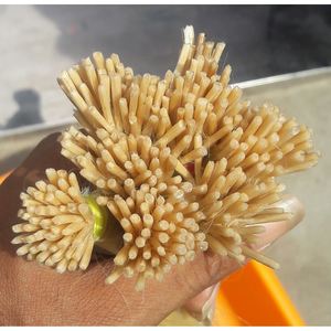 Extensiones de Cabello Humano Indio 2016, Cabello Virgen 100%, Color Claro y Texturas Diversas, Paquetes de Cabello de 10-34 Pulgadas, Envío en 4-5 Días - Product Image 3