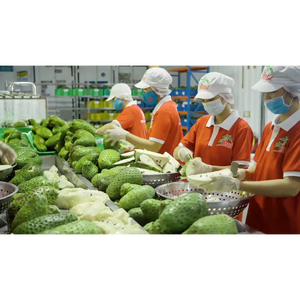 สำหรับผู้ผลิต OEM เวียดนาม น้ำผลไม้รสเสาวรสแท้แบบกระป๋องทรงเพรียว 330 มล. เครื่องดื่มผลไม้เขตร้อน บรรจุภัณฑ์แบบกระป๋อง  อายุการเก็บรักษา 24 เดือน - Product Image 3