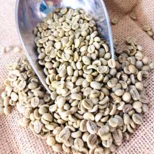 Café Verde Robusta Vietnamita DHPONE Grado AA, Color Natural, Sabor Neutro, Sin Alérgenos, Empaque en Bolsa de 60 kg, Entero - Product Image 4