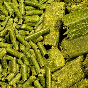 Granulés d'alfalfa naturels pour l'alimentation du bétail, offrant une nutrition pratique avec un transport, un stockage et une alimentation faciles - Product Image 1