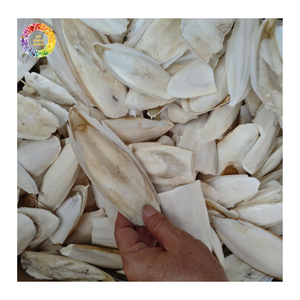 Hueso de Sepia a Granel, Ingrediente Marino con Alto Contenido de Calcio para Alimento Animal, Alimento para Aves, Alimento para Mascotas, Exportación al por Mayor, Fabricante - Product Image 6