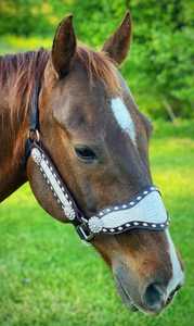 Cabestro de Cuero Genuino Ajustable y Resistente para Caballos, Impermeable, Compatible con Sillas de Montar Occidentales, Personalizable, Envío Inmediato - Product Image 4