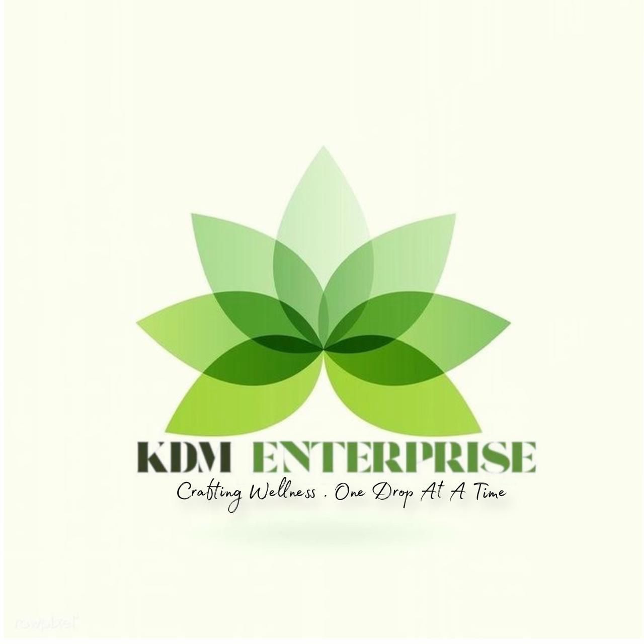 KDM ENTERPRISES logo
