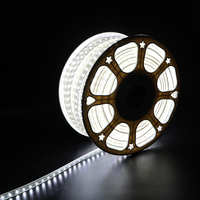 Tira de LED para Exteriores Nanoco, 72 Chips 2835 SMD, IP65, Anti-UV, PVC, 30000 Horas de Duración, Proveedor Número 1 en Vietnam, Venta al Por Mayor