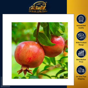 Premium Fresh Pomegranates Sweet Juicy <b>Deep</b> Red Farm Fresh Export Grade Natural Fruit 18 Months <b>Shelf</b> Life Ocean Link - Product Image 2