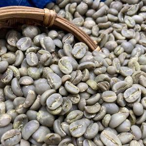 Grains de café vert Arabica non torréfiés de qualité supérieure directement de la source pour la torréfaction et l'approvisionnement en gros au Vietnam - Product Image 2