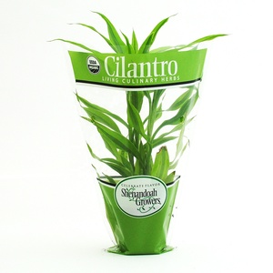 Sacs d'emballage coniques en plastique CPP personnalisés avec logo fournisseur, biodégradables, de qualité alimentaire, avec trous d'aération pour basilic - Product Image 2