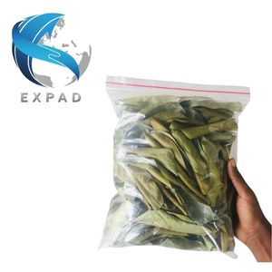 Té de Hoja de Guanábana Cruda de Grado de Extracción, Hojas Secas Premium, Té Herbal Natural de Graviola, Bebidas Saludables, Exportación a Granel - Product Image 1