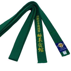 Équipement d'arts martiaux, ceinture de taekwondo/karaté pour l'entraînement, ceinture d'arts martiaux pour l'entraînement au taekwondo - Product Image 3