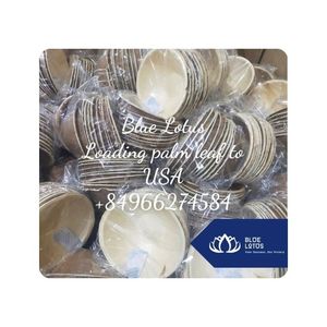 จานใบปาล์มแบบใช้แล้วทิ้งสำหรับงานจัดเลี้ยง งานปาร์ตี้ บุฟเฟ่ต์ และเสิร์ฟอาหาร เวียดนาม - Product Image 1