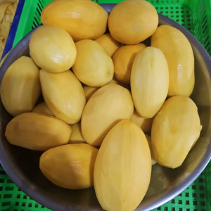 ขายส่งเนื้อมะม่วงแช่แข็ง IQF คุณภาพพรีเมียม 100% มะม่วงหวานธรรมชาติ ครึ่งลูก ขายตรงจากโรงงานเวียดนาม - Product Image 1