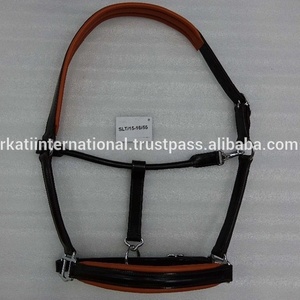 Leather Halter Gold Fittings - Product Image 4