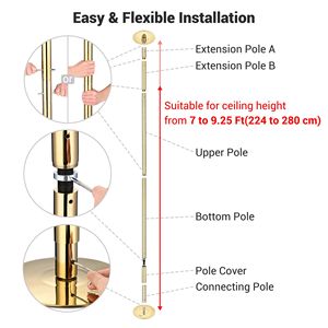 Palo da ballo dorato da 9,25 piedi per prestazioni - Product Image 5