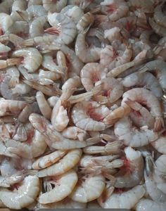 Camarones Frescos Sin Cabeza Refrigerados a Granel con 7 Días de Vida Útil - Product Image 2