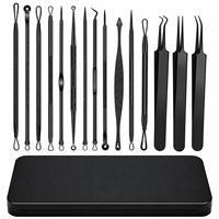 Kit de 15 outils de nettoyage de points noirs et d'acné pour le bureau - Extracteur de comédons en acier inoxydable avec étui, compatible US/AU