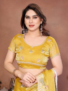 Sari de Georgette de Diseño de Lujo con Bordado Intenso en el Borde, Colección de Blusas para Mujer, para Bodas y Fiestas Indias de Invierno - Product Image 3