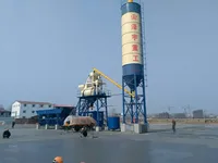 Impianto di Betonaggio Fisso Zeyu HZS50 50m/h Controllato da PLC, con Trasportatore a Coclea Elettrico e Dosaggio Automatico Aggregati