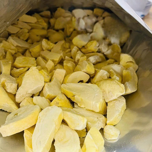 Durian lyophilisé Offre spéciale 2026 Meilleur prix 100% pulpe de durian Haute qualité Ingrédient pour mélange de yaourt du Vietnam Goût exotique - Product Image 1