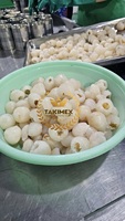 OEM vietnamien ODM emballé en conserve litchi fruits de haute qualité Lichi conservé fraîcheur pour iceream ou boire