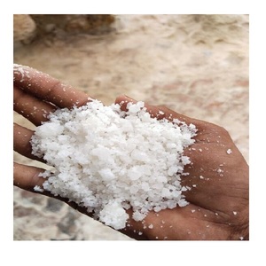 Sal Industrial de Alta Pureza, Cristales Blancos, Cloruro de Sodio 100%, Suministro a Granel para Tratamiento de Agua, Procesamiento Químico y Textil - Product Image 5