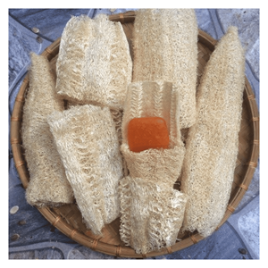 Éponges de loofah naturelles séchées, matériau en fibres de loofah écologiques pour éponge de cuisine et éponge corporelle, fabricant vietnamien - Product Image 1