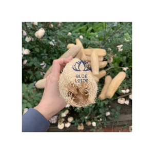 ฟองน้ำใยบวบปลอดภัย สะอาด เป็นมิตรต่อสิ่งแวดล้อม ขายดี ปี 2026 แผ่นใยพืชบริสุทธิ์ เหมาะสำหรับขัดผิวและขัดครัว ราคาส่งตรง - Product Image 1
