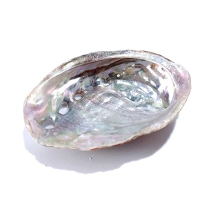 Large <b>abalone</b> <b>shells</b> for smudging competitive price natural ocean <b>shell</b> high quality seashell - Product Image 6