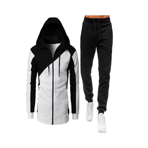 Ensemble de survêtement à capuche pour homme, sweat-shirt zippé et pantalon de jogging bicolore, tenue décontractée d'automne, manches longues, coupe classique - Product Image 1