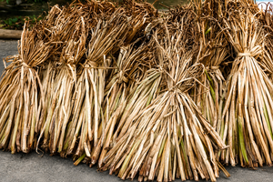 Vietnam Wholesale Sun Dried Water Hyacinth Material Raw Fiber For Craft Basket Weaving - Product Image 5