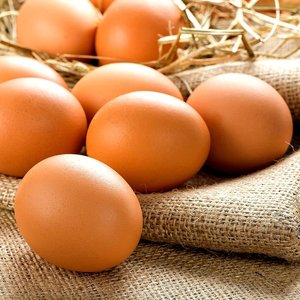 Proveedor Directo del Exportador Líder de Huevos de Gallina de Engorde Marrones para la Venta, Huevos de Gallina de Granja, Huevos de Mesa Marrones Frescos - Product Image 1