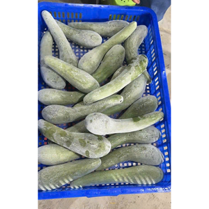 Frozen Avocado Halves/Chunks/<b>Dices</b>/Slices/IQF Cubed Fruit Bulk Supply with Water Preservation for Smoothies & Baking - Product Image 5