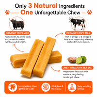 Friandises à mâcher pour chiens au lait de yak de l'Himalaya, riches en protéines, longue durée, saveur fromage, pour l'hygiène dentaire, sans céréales, OEM ODM Marque Privée Vente en Gros