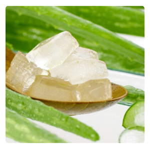 รายการร้อน | ว่านหางจระเข้เจลลี่สำหรับใช้ในการทำอาหาร | สดและกินได้ | ดีที่สุดสำหรับเครื่องดื่มและของหวาน - Product Image 3