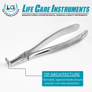 Forceps d'extraction dentaire professionnels pour racines inférieures, modèle anglais, fabriqués en acier inoxydable de haute qualité par Life Care Instr. - Product Image 5