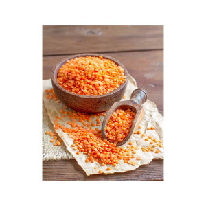 Lentejas rojas de alta calidad suministradas a precio directo de fábrica con entrega rápida - Product Image 1