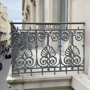 Clôture décorative extérieure moderne en acier et fer forgé avec motif floral en spirale, durable, pour balcon et escalier, garantie 5 ans, intemporelle - Product Image 1